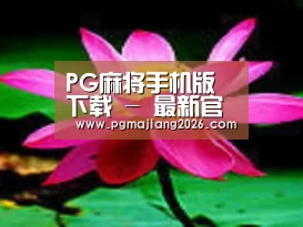 产品名称五