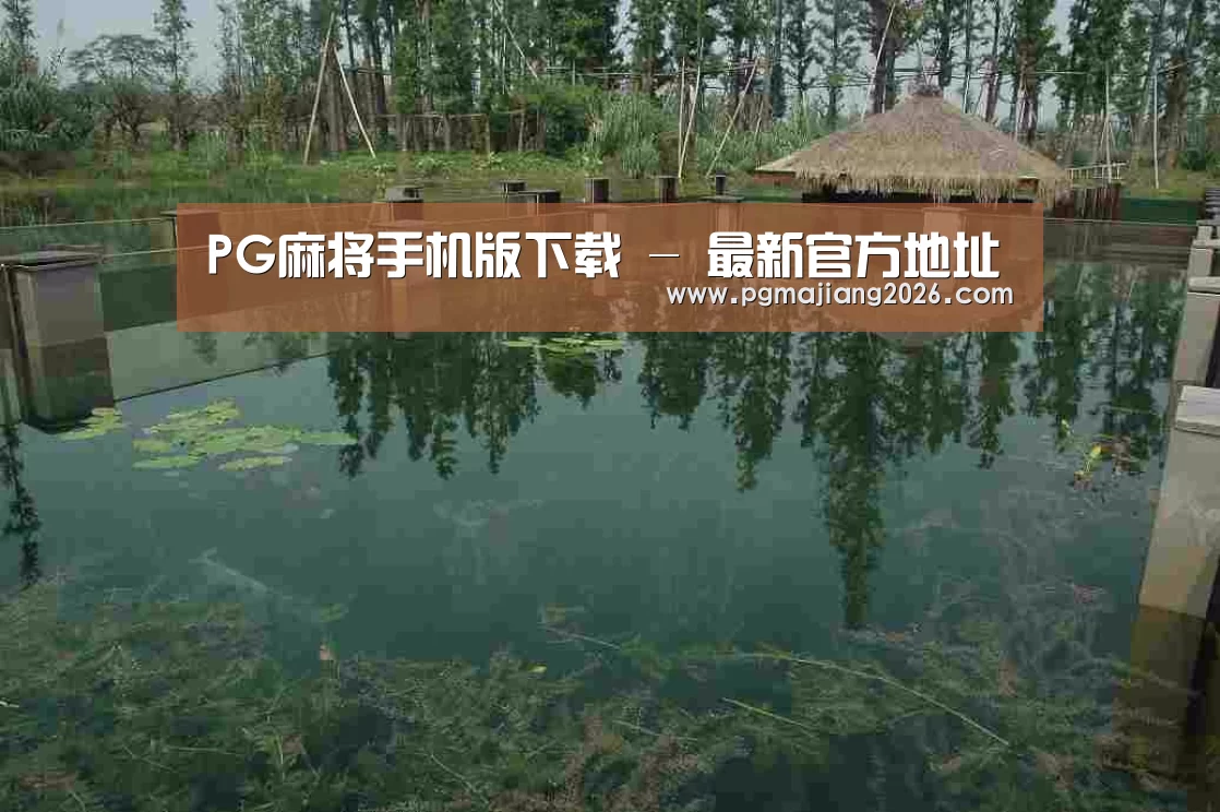 案例展示二