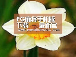 产品名称四
