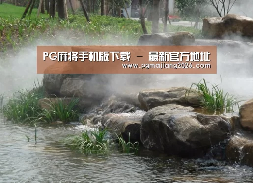 案例展示五