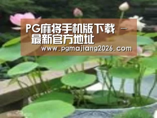 产品名称一