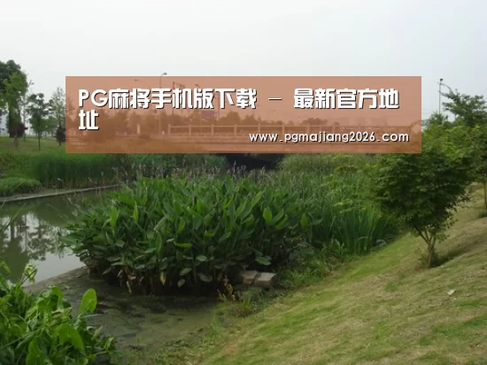 案例展示四