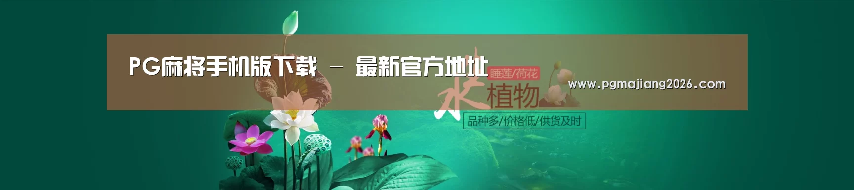 鲜花水草花卉网站模板